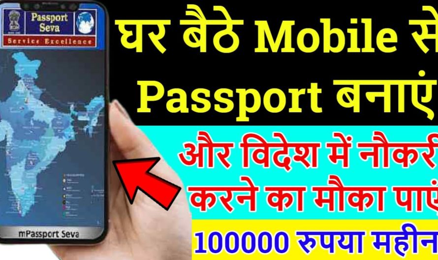 How to make a passport online?